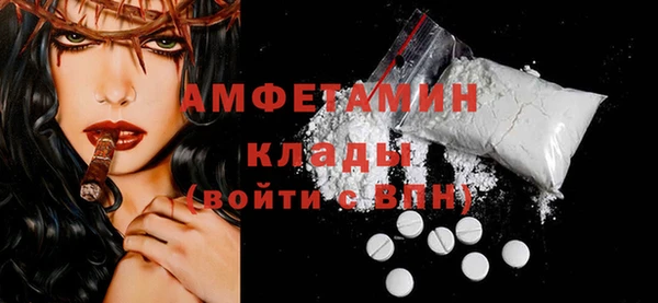 ПСИЛОЦИБИНОВЫЕ ГРИБЫ Заводоуковск