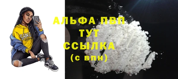 ПСИЛОЦИБИНОВЫЕ ГРИБЫ Заводоуковск