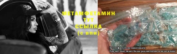 ПСИЛОЦИБИНОВЫЕ ГРИБЫ Заводоуковск