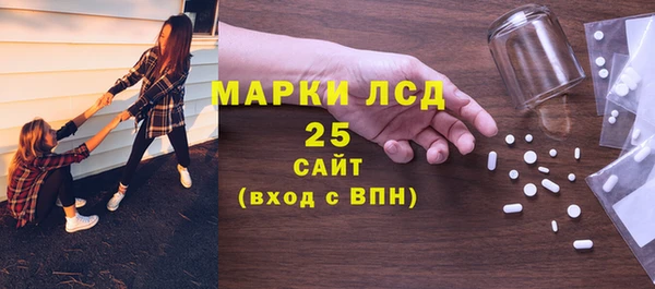 ПСИЛОЦИБИНОВЫЕ ГРИБЫ Заводоуковск